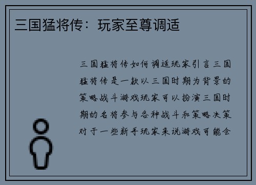 三国猛将传：玩家至尊调适